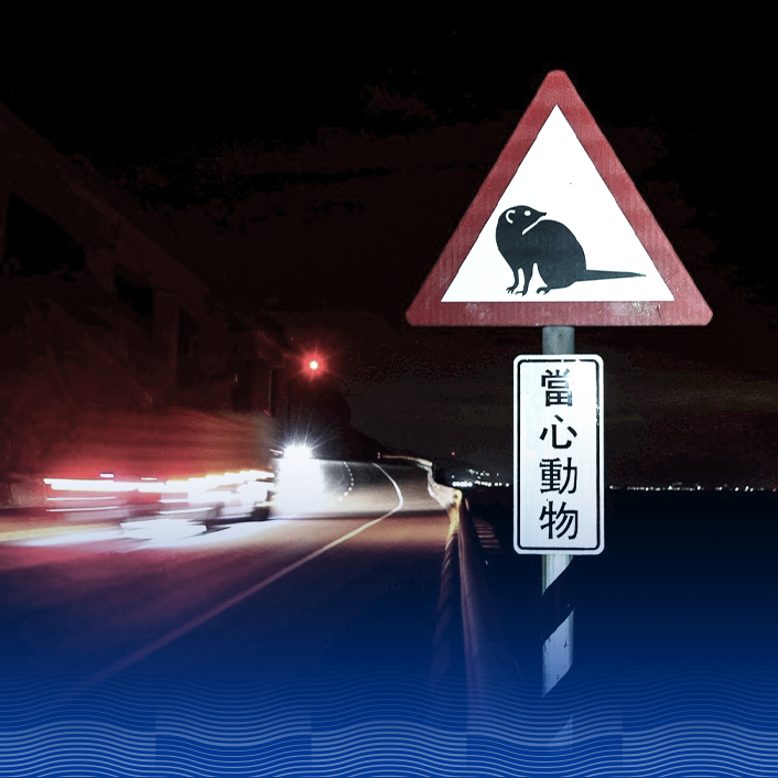 《饒了我吧！》慢行南迴之森，與動物共生