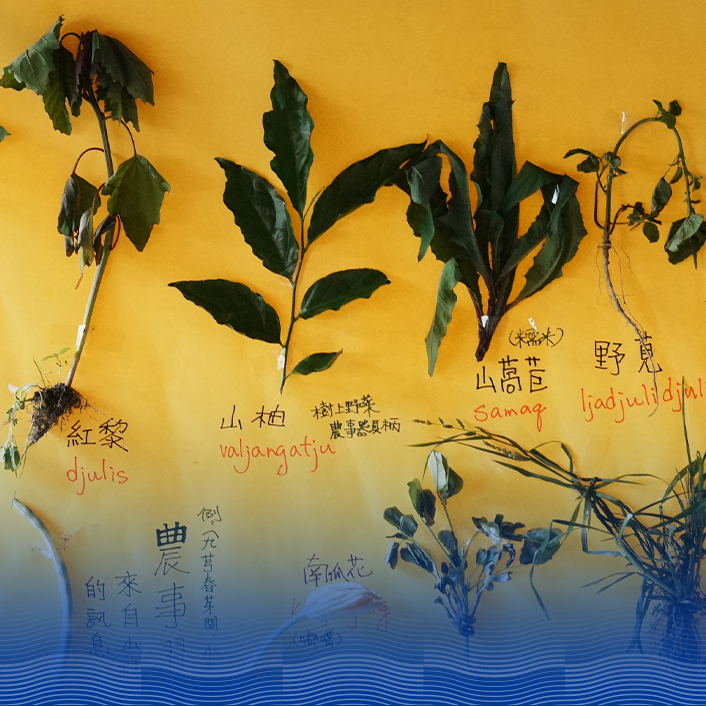 Cemel草草植物語